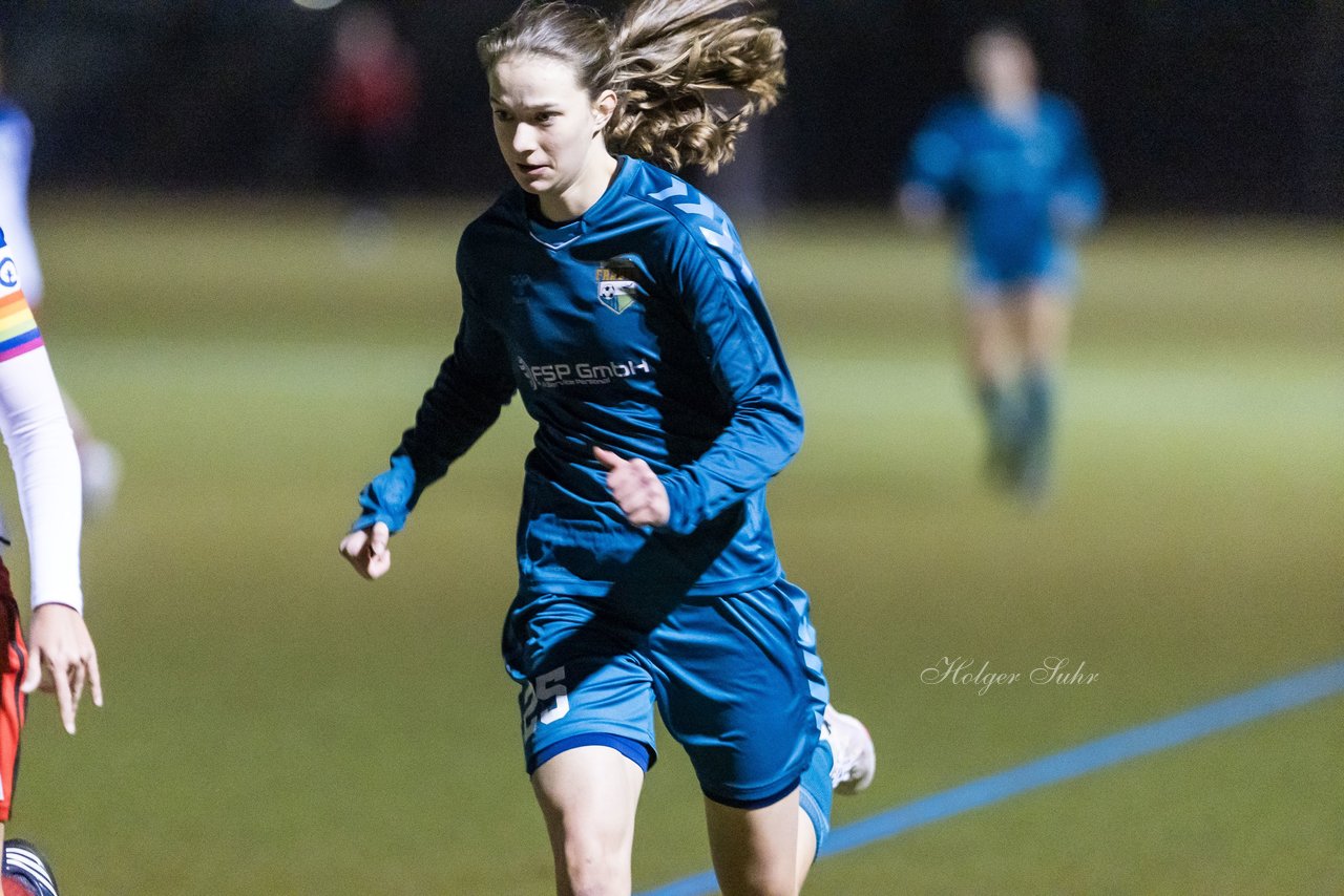 Bild 126 - F SC Alstertal-Langenhorn - Hamburger SV 3 : Ergebnis: 2:2